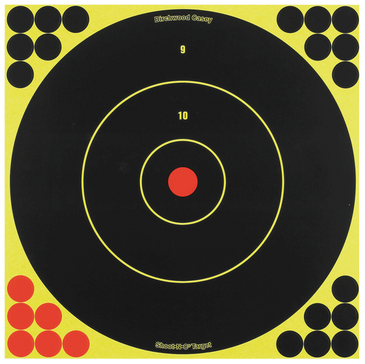 Birchwood Casey Shoot N C 12In Bull 5