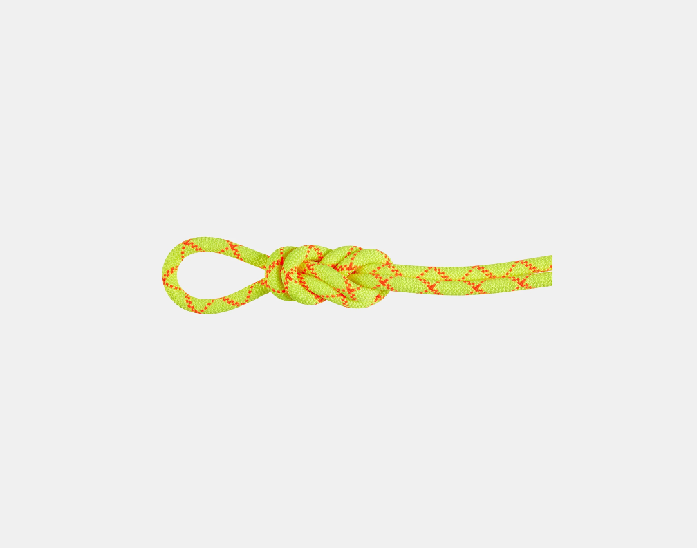 Mammut 9.5 Alpine Core Protect Dry Rope