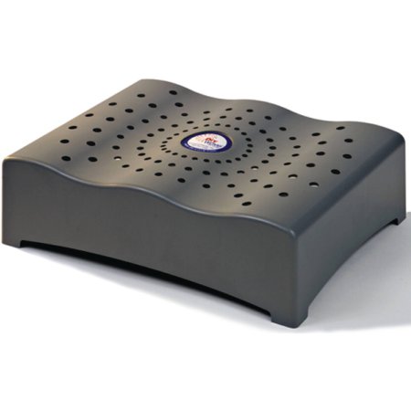 Ironwood Pacific Outdoors DryWave Air Dryer 120-Volt 120-Watt for 1000 Cu. Ft.