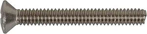 Hillman Stainless Steel Oval Head Phillips Machine Screw, 1/4-Inch x 1-Inch - 100 Pack