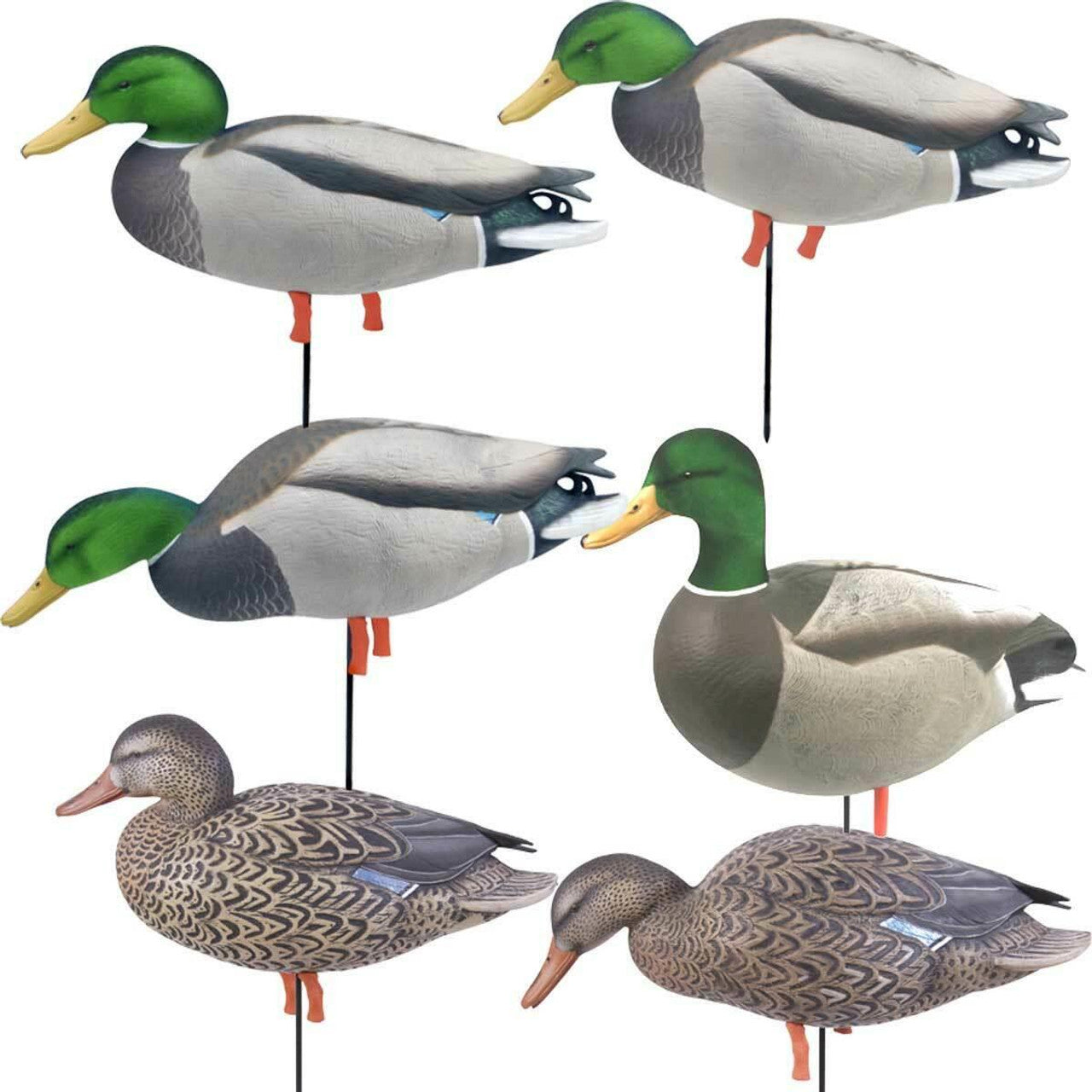 Avery Outdoors FFD Elite FB Mallards-Harvester Pack (6-pack)