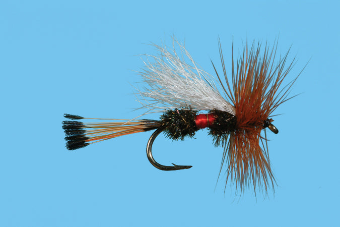 Solitude Royal Trude