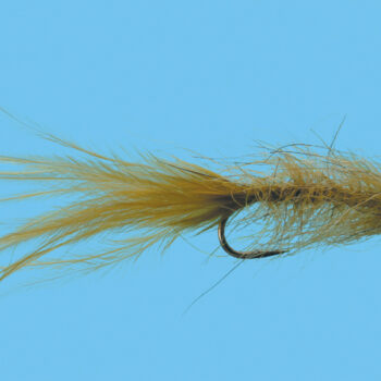 Solitude Hale Bopp Leech