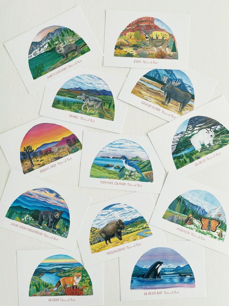 Erin Vaughan Animal of the National Park Post Card