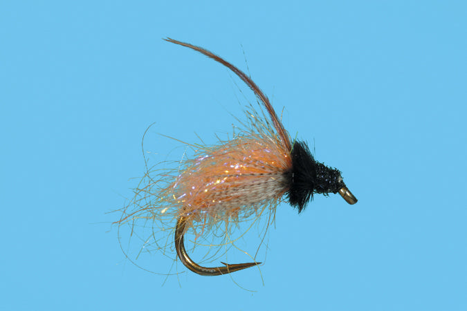 Solitude Caddis October