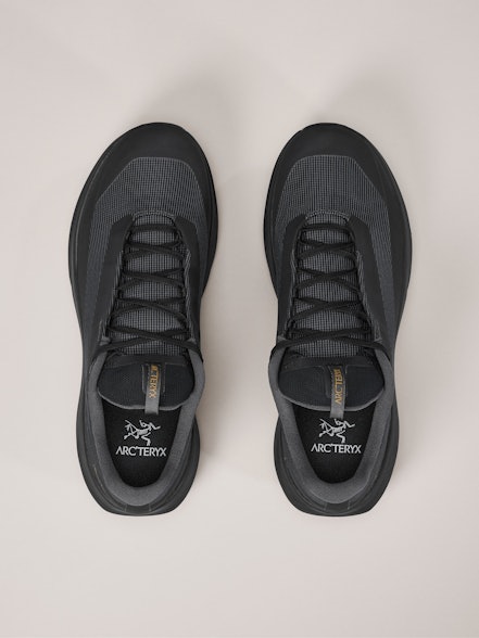 Arc'teryx Norvan LD 4 GTX Shoe  Men's