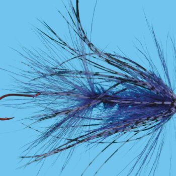 Solitude Jumbo Critter