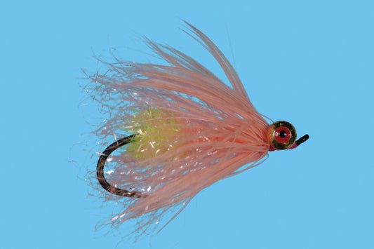 Solitude Polar Caboller