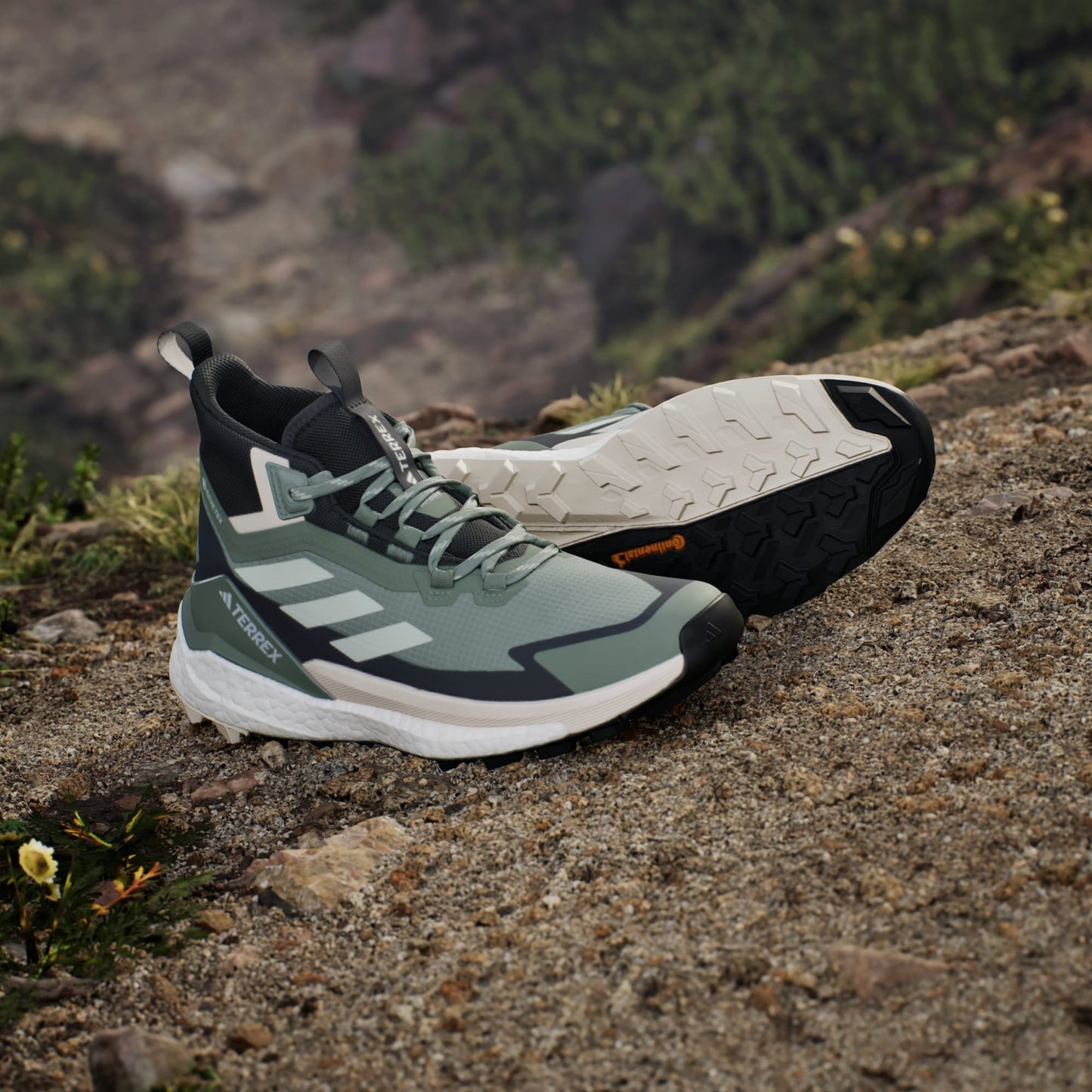 Terrex Free Hiker 2.0 Gore-Tex Hiking Shoe Women's