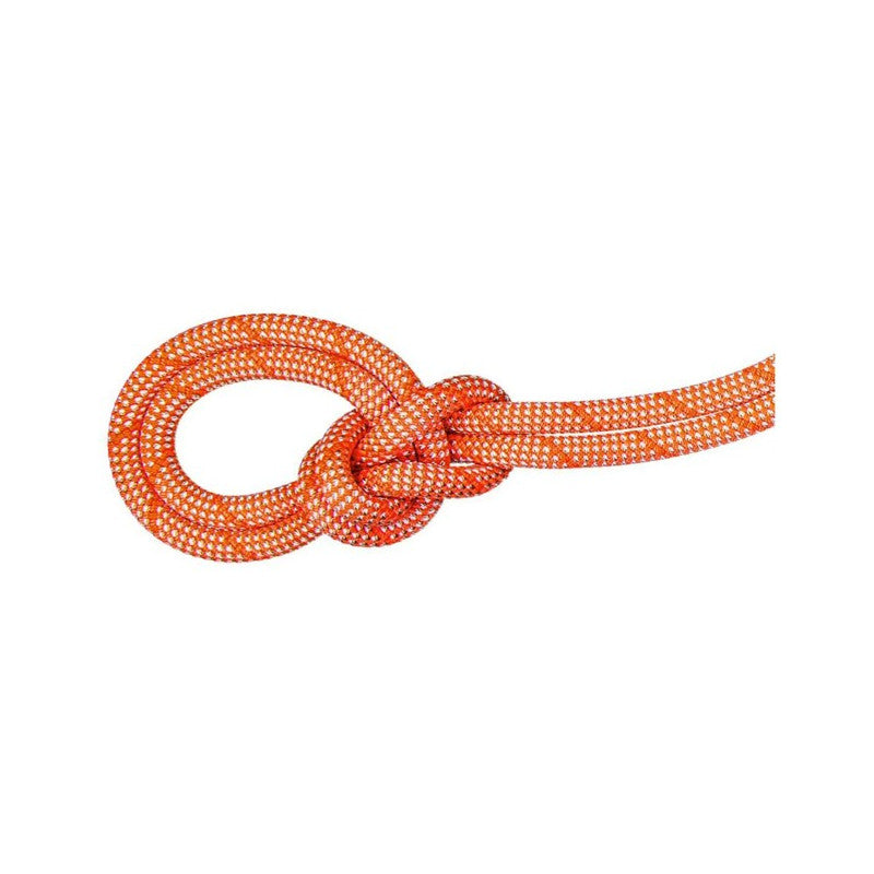 Mammut 9.8 Crag Classic Climbing Rope