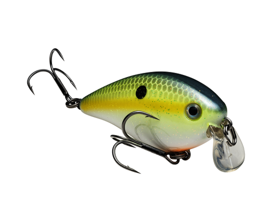 Strike King KVD Squarebill 1.5 Shallow Crankbait