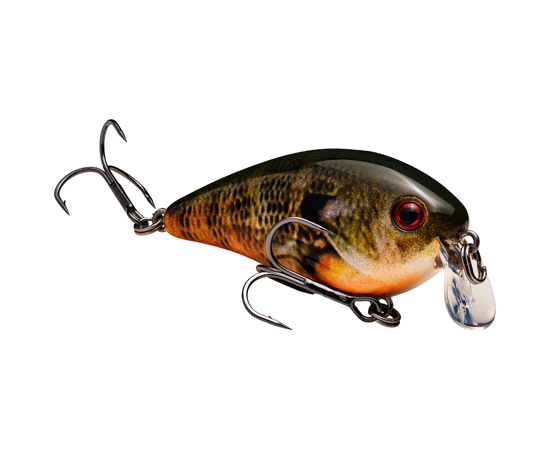 Strike King KVD Squarebill 1.5 Shallow Crankbait