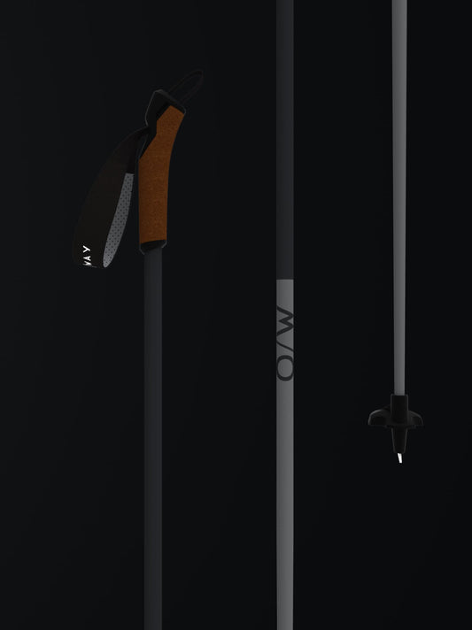 Fischer Diamond ALC Nordic Poles