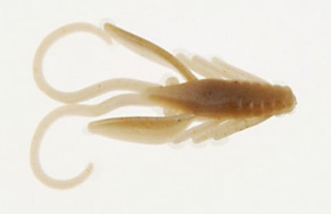 Berkley PowerBait Power Nymph