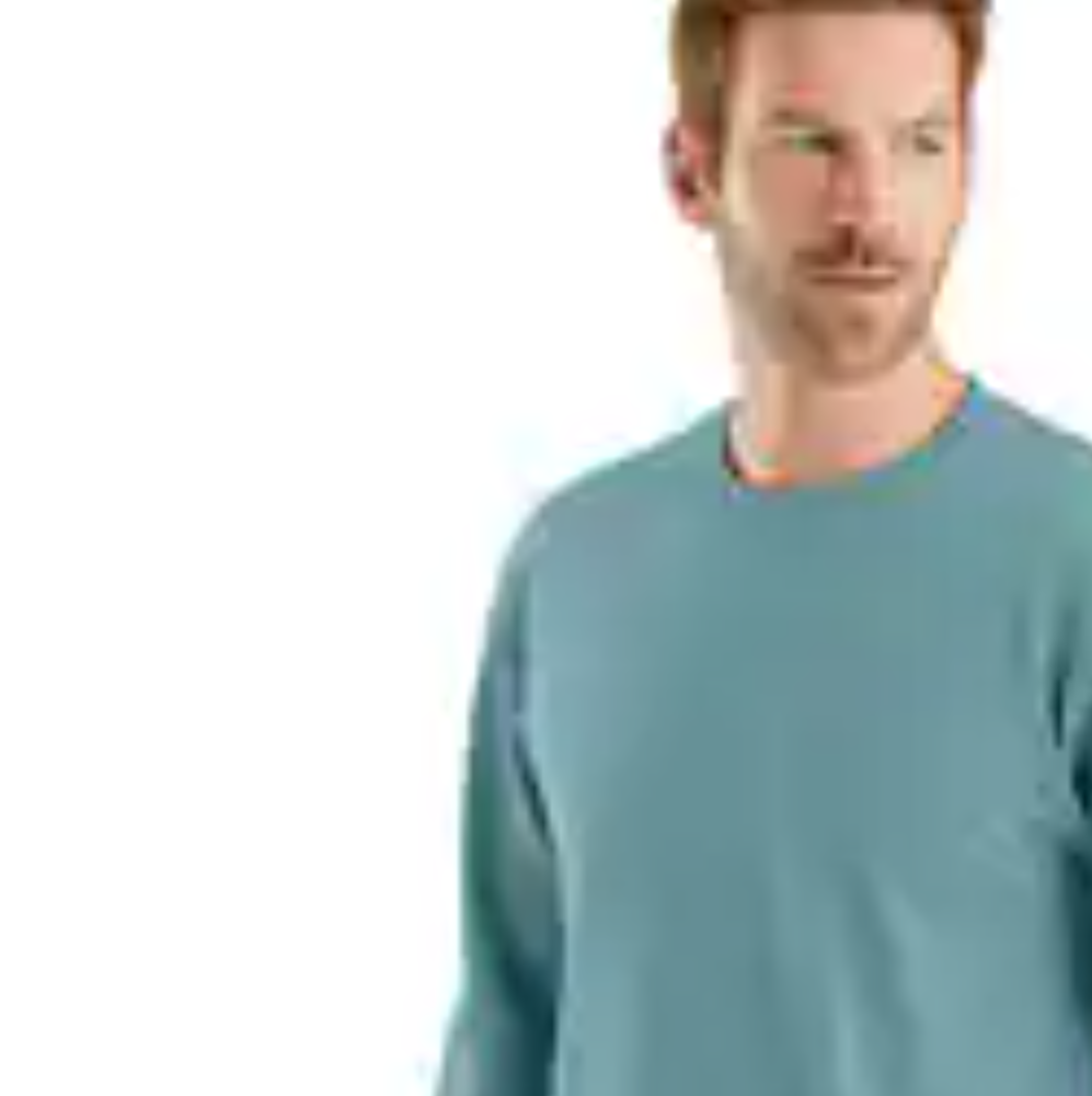 Carhartt Men's Graphic Logo Long Sleeve T-Shirt