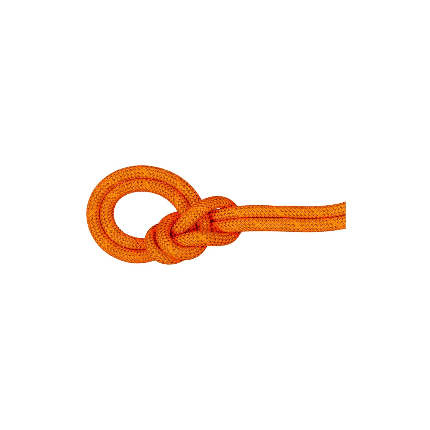 Mammut 9.8 Crag Dry Climbing Rope