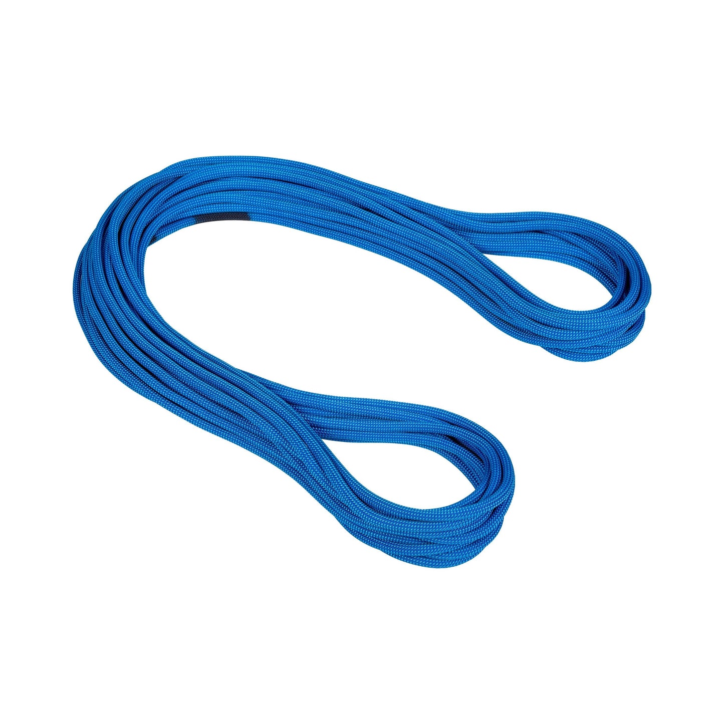 Mammut 9.5 Infinity Dry Rope - Ascent Outdoors LLC
