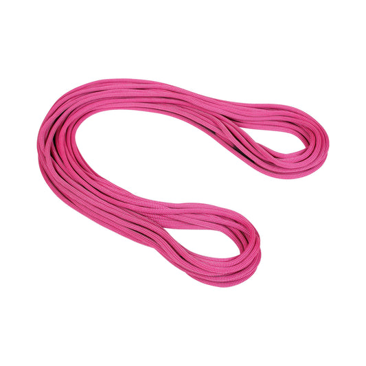 Mammut 9.5 Infinity Dry Rope - Ascent Outdoors LLC