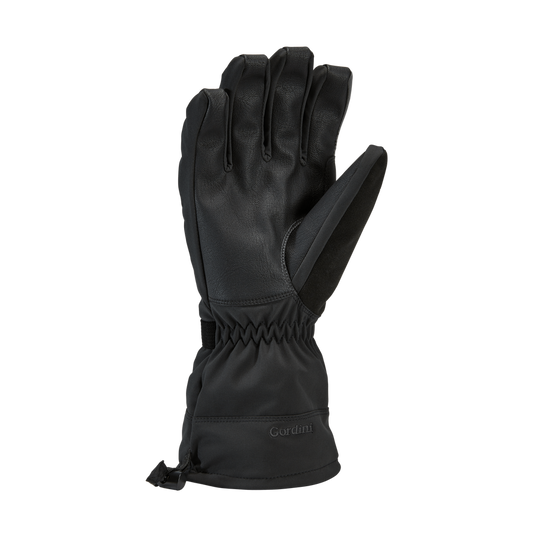 Gordini Fall Line Glove Women's