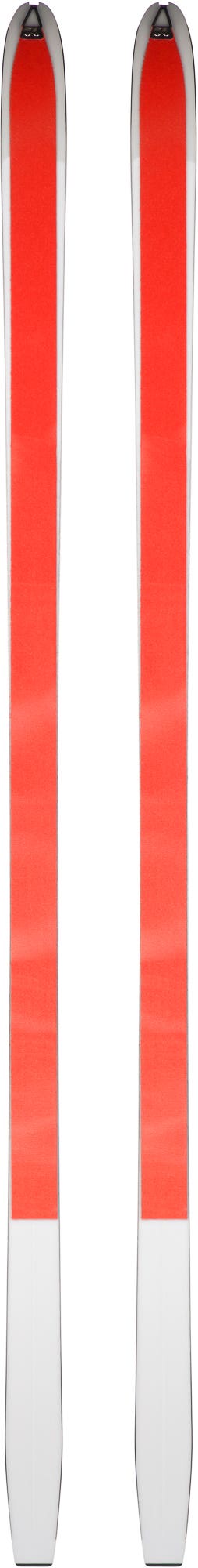 Rossignol BC 80 Positrack Nordic Skis