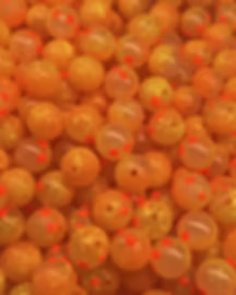 Bloop Hard Beads