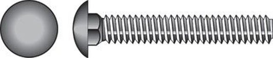 832506 0.25 X 0.75 in. Stainless Steel Carriage Bolt