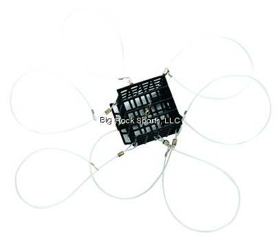 PUCCI Square 6 Loop Crab Snare