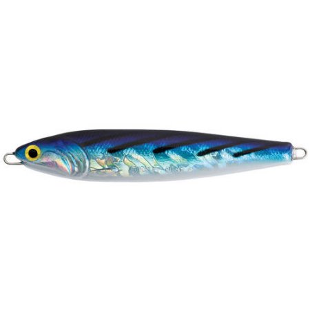 Point Wilson #30 Anchovy