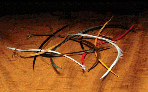 Stripped Goose Biots - White - Fly Fishing