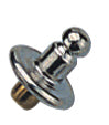 Sea Dog Canvas Stud (Set Of 5)