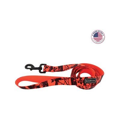 Water & Woods Blaze Patterned Dog Leash Trees Orange