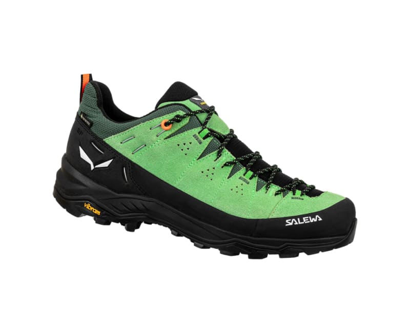 Salewa Men's ALP Trainer 2 Gtx