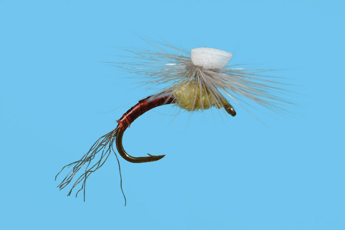 Solitude Brooks’ Sprout PMD