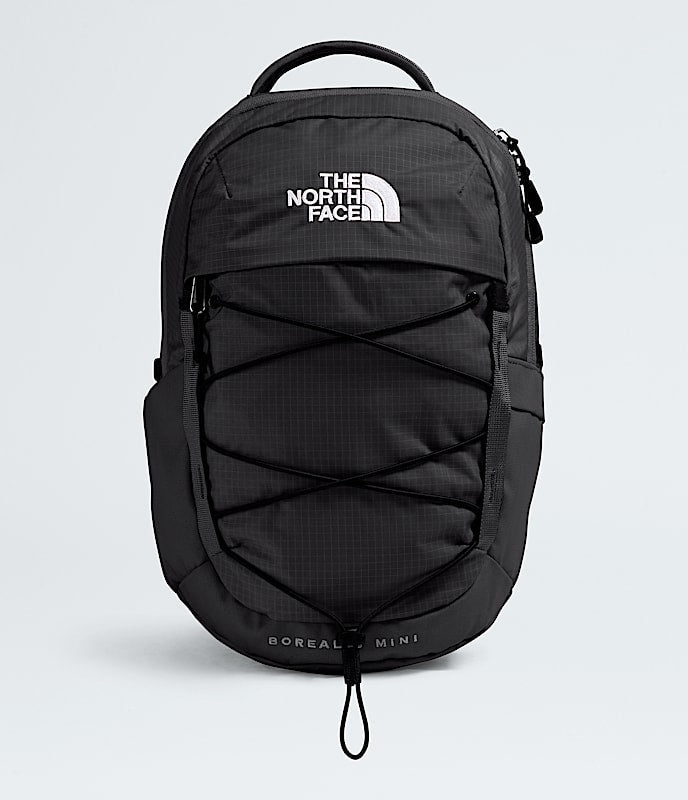 The North Face Borealis Mini Backpack