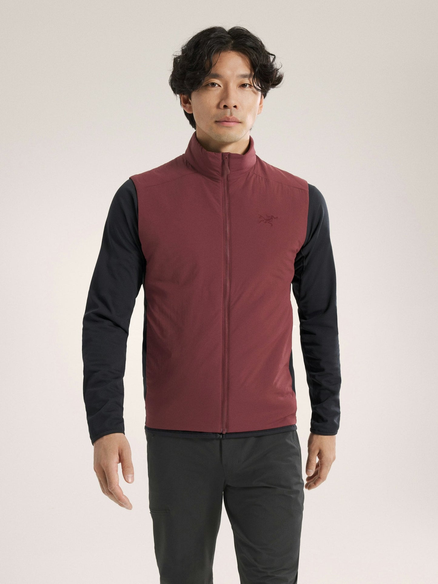 Arc'teryx Atom Vest Men's