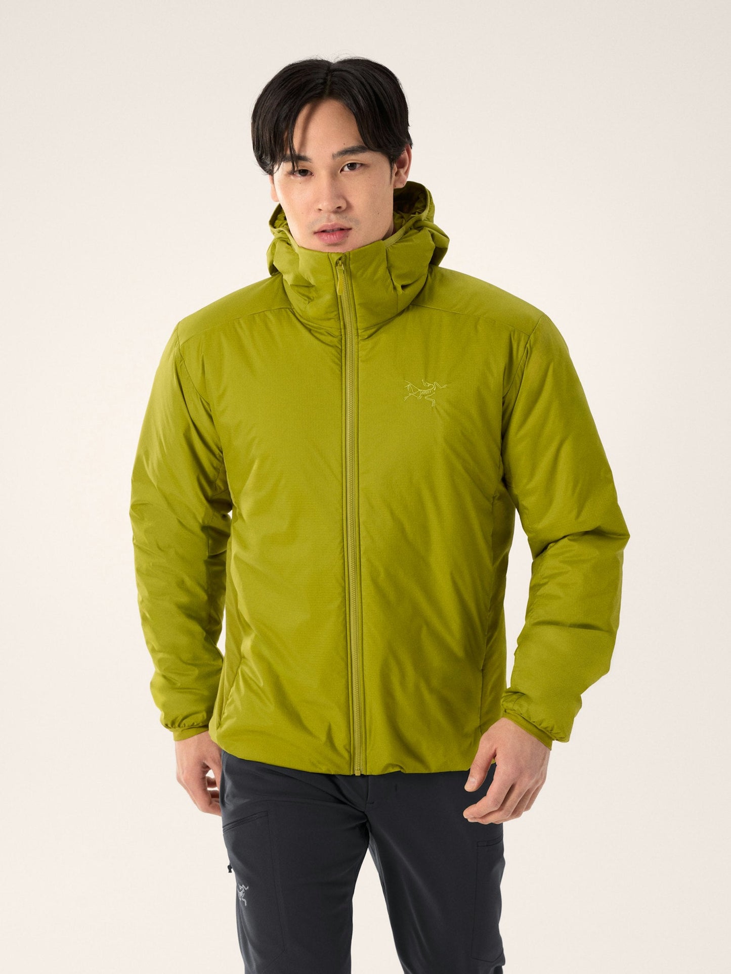 Arc'teryx Atom SV Hoody Men's