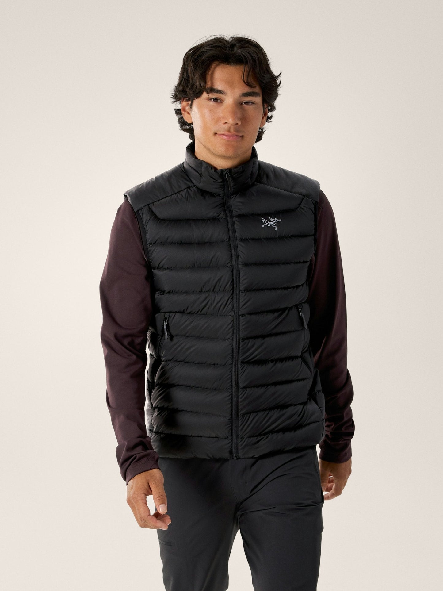 Arc'teryx Men's Cerium Vest
