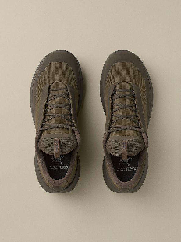 Arc'teryx Men's Norvan LD 4 GTX Shoe