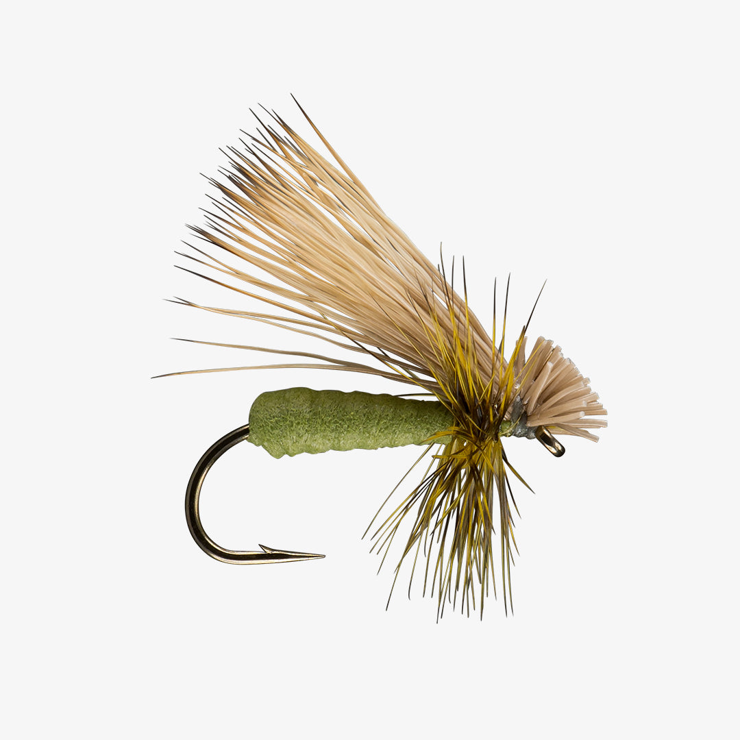 RIO Better Foam Caddis 12 Pack
