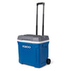 Igloo Latitude 30 Roller