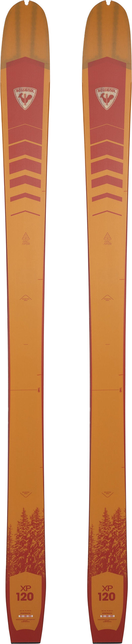 Rossignol XP 120 Positrack Nordic Backcountry Unisex Skis