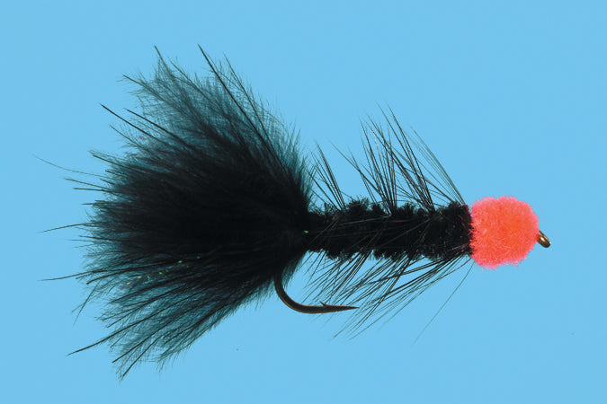Solitude Hale Bopp Leech