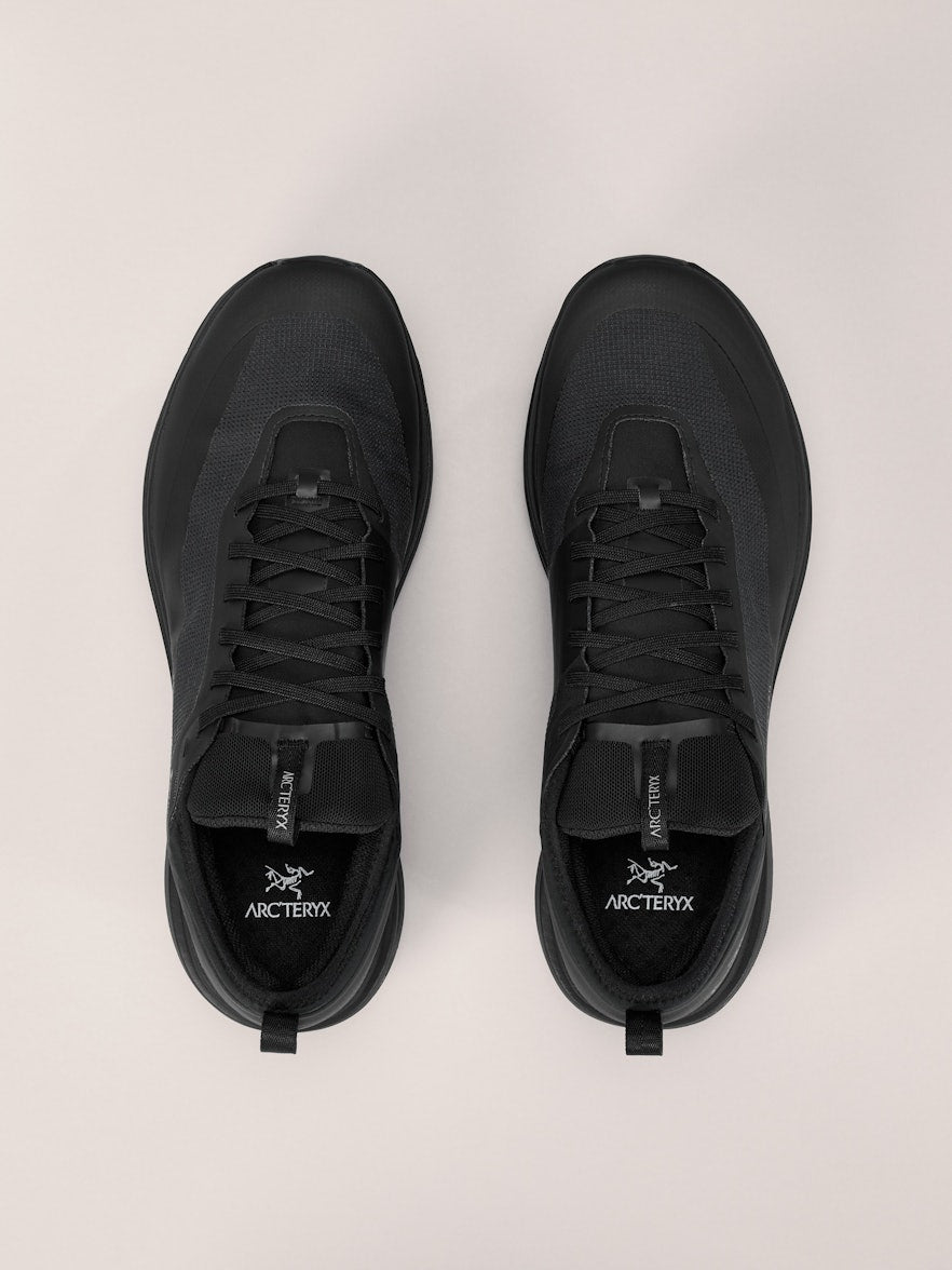 Arc'teryx Sylan GTX Shoe Men's