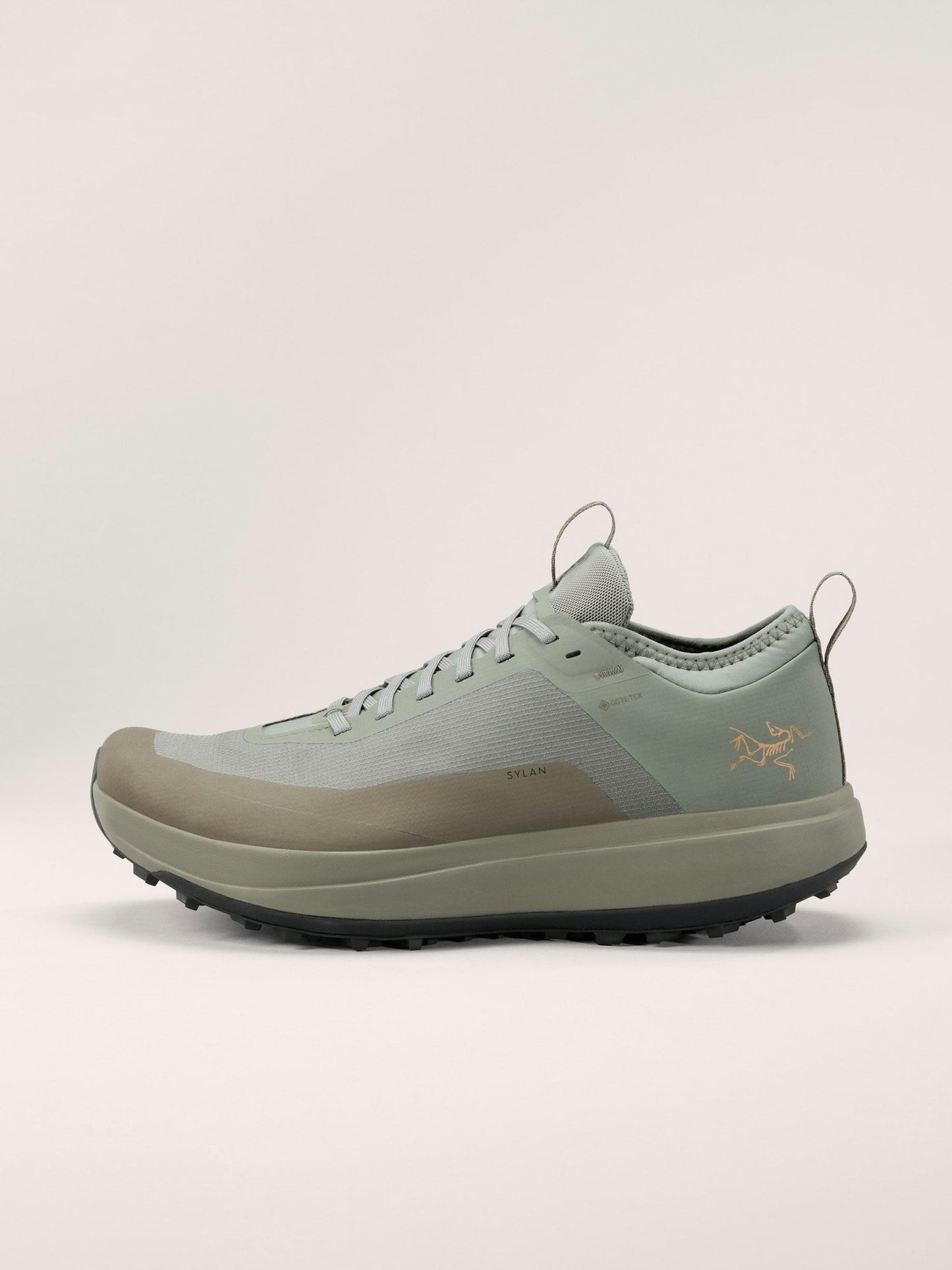 Arc'teryx Sylan GTX Shoe Men's