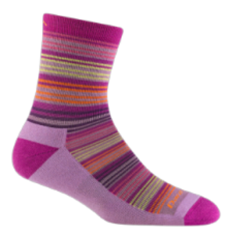 Darn Tough Zebra Canyon Micro Crew Lightweight with Cushion Socks