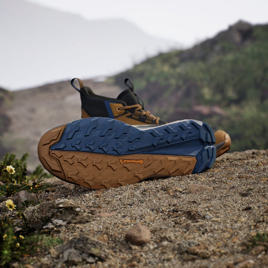 Terrex Free Hiker 2.0 Gore-Tex Hiking Shoes Men's