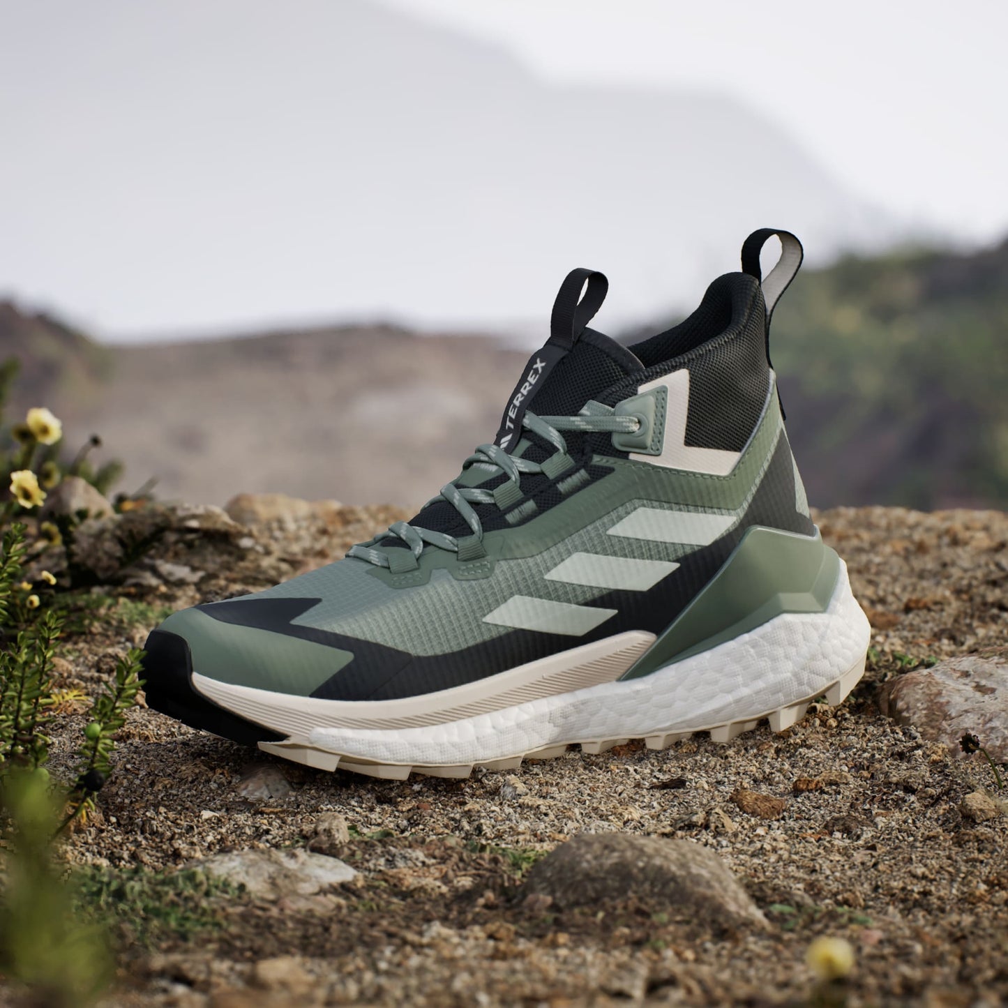 Terrex Free Hiker 2.0 Gore-Tex Hiking Shoe Women's