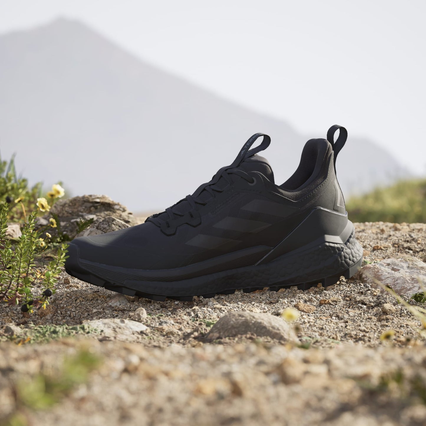 Terrex Free Hiker 2.0 Low Hiking Shoes Men's