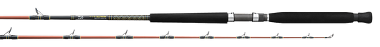 Daiwa V.I.P. A Saltwater Rod