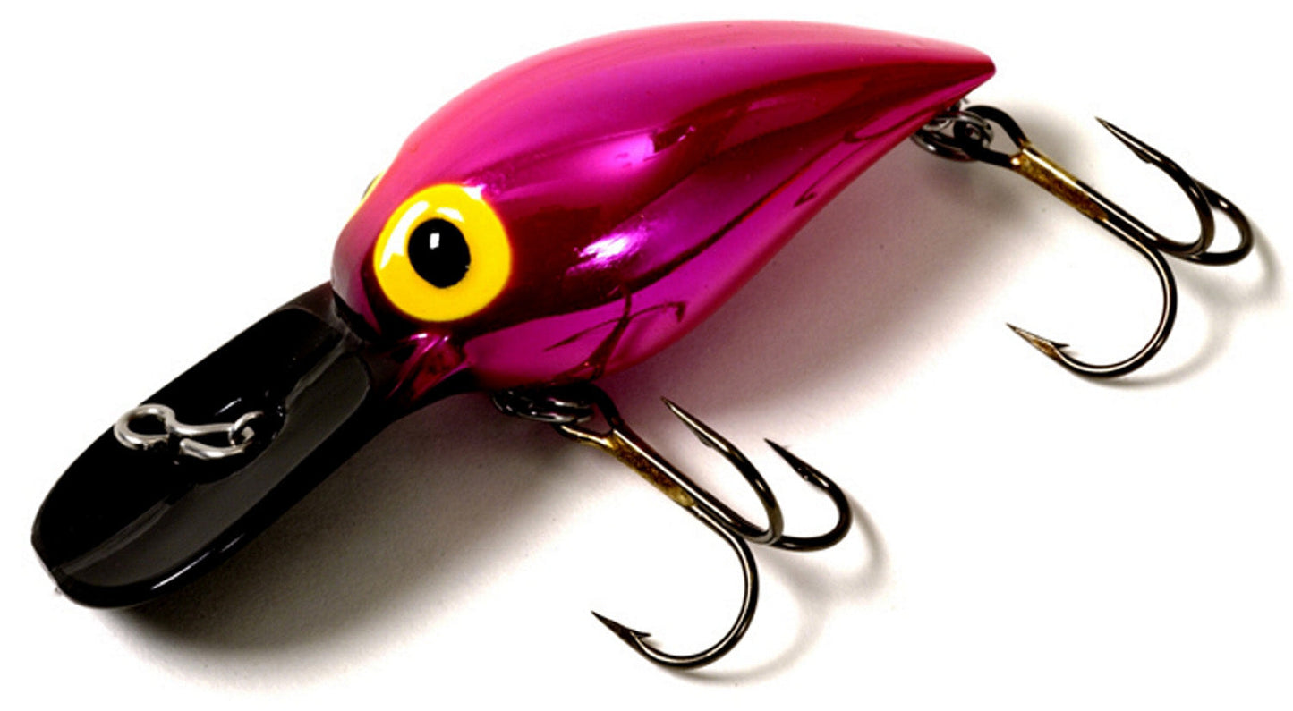 Brad's Wee Wigglers